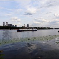 Летнее :: Сергей Премонишын