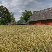 ... :: adrow ... :: adrow