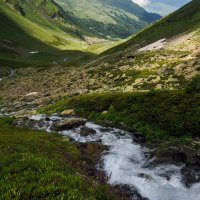 ... :: Сергей Лысенко