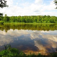 На лесном озере :: Андрей Снегерёв На лесном озере :: Андрей Снегерёв
