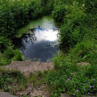 * * * :: Андрей Лукьянов