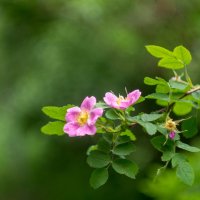 ___ :: Yuriy V ___ :: Yuriy V