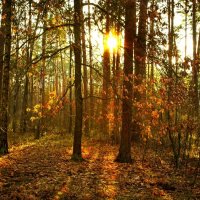 3861 :: Alex . 3861 :: Alex .