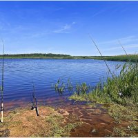 Ловись рыбка........ :: Валерия Комова