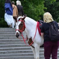 На работе. :: Наталья Вязигина