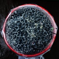 92. Парниковый эффект. :: Василий Палий