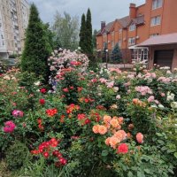 ,,, :: Сергей Тимоновский