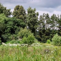 Живописные окрестности речки Битцы :: Анатолий Колосов