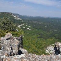 Природа Крыма :: Amazing Cosmea