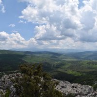 Природа Крыма :: Amazing Cosmea