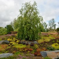 Пейзажи парка "Ближняя дача". :: Леонид Иванчук Пейзажи парка "Ближняя дача". :: Леонид Иванчук