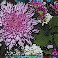 Герберы :: Алевтина 