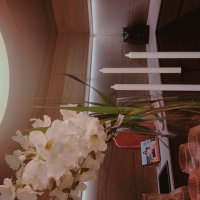 13  ОПЕН (211) :: OPEN WAYS ALL