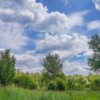 Небо июня... :: Владимир Жданов
