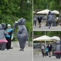 слоны в городе :: Лера 