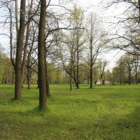 Орловский парк :: Наталья Герасимова Орловский парк :: Наталья Герасимова