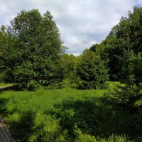 Из недопоказанного :: Андрей Лукьянов