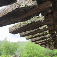 Летний дождь :: Алексей Лукаев