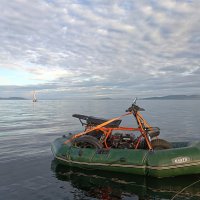 Транспортировка) :: Ирина *