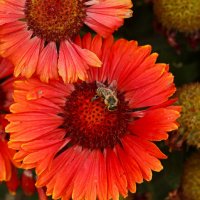 Доброе утро :: Юрий. Шмаков Доброе утро :: Юрий. Шмаков