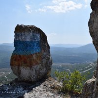 Природа Крыма :: Amazing Cosmea