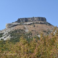 Природа Крыма :: Amazing Cosmea Природа Крыма :: Amazing Cosmea