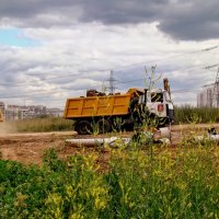 Человек и природа...город наступает,,, :: Анатолий Колосов