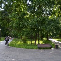 Лефортовский парк :: Oleg4618 Шутченко