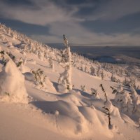 * :: Александр Иванов