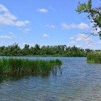 У реки. :: Виктор У реки. :: Виктор