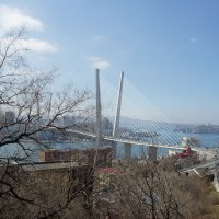 Мост Золотой рог :: Наталья Т