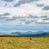 Июнь на плато Кваркуш :: Галина Ильясова