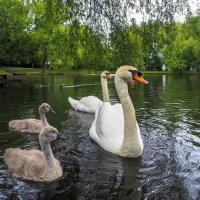 ***** :: юрий поляков