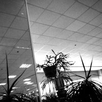 Назва. отсу. :: Денис Безногов