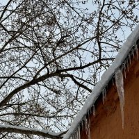 Весна :: mvictoriya 