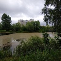 Июнь уж отступил. Он был таким. Июни не выбирают :-) :: Андрей Лукьянов