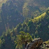 ПО ГОРАМ. :: Виктор Осипчук