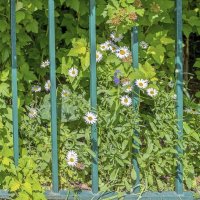 Городские :: Валерий Иванович