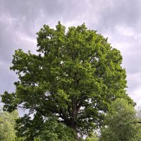 На неведомых дорожках :: Алексей Домрин