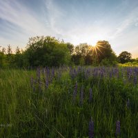 На закате :: Александр Синдерёв