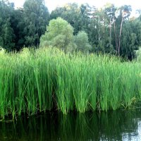 Это было недавно,это было давно :: Елена Семигина Это было недавно,это было давно :: Елена Семигина