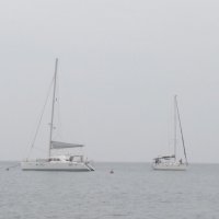 Утро :: Натали 