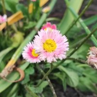 ,,, :: Сергей Тимоновский