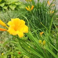 ,,, :: Сергей Тимоновский