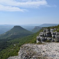 Природа Крыма :: Amazing Cosmea