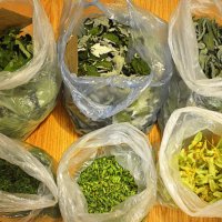 Для сухбата ZOV54 :: Татьяна Лютаева Для сухбата ZOV54 :: Татьяна Лютаева