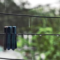 В дождливую погоду :: Юрий Гайворонскiий