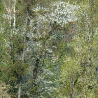 "Будет апрель!" Ю.Левитанский :: Syntaxist (Светлана)