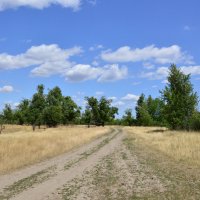 Мои дороги. :: Виктор 