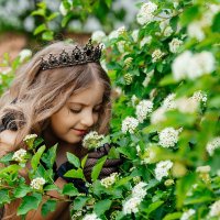 сказочная фотосессия Кричев 2025 :: Евгений Третьяков